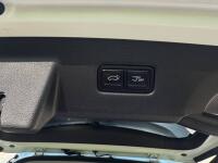 Kia Carnival (2023)