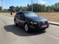 Audi Q5 (2015)