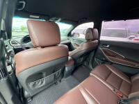 Hyundai Maxcruz (2017)