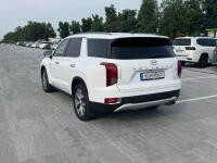 Hyundai Palisade (2019)