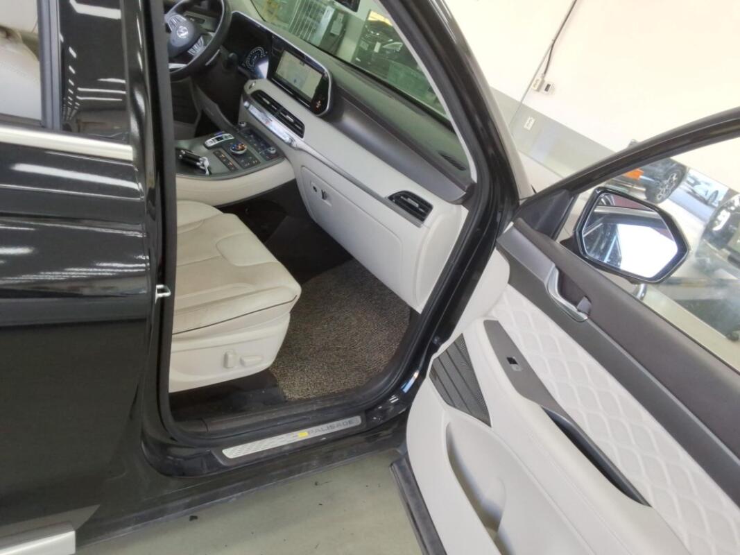 Hyundai Palisade (2021)