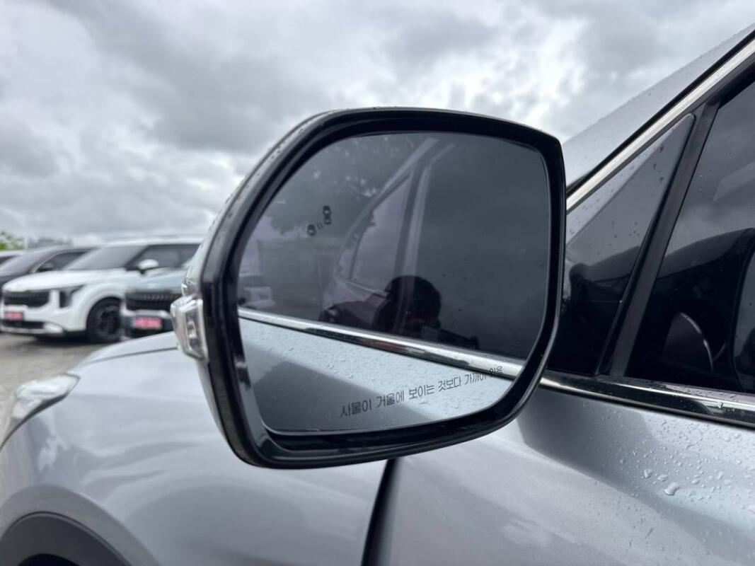 Hyundai Maxcruz (2017)