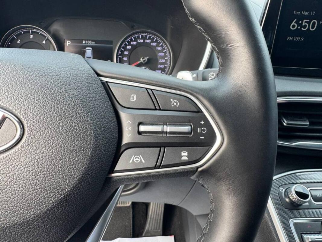 Hyundai SantaFe (2020)