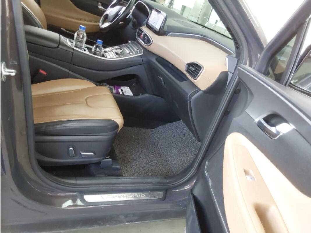 Hyundai SantaFe (2020)