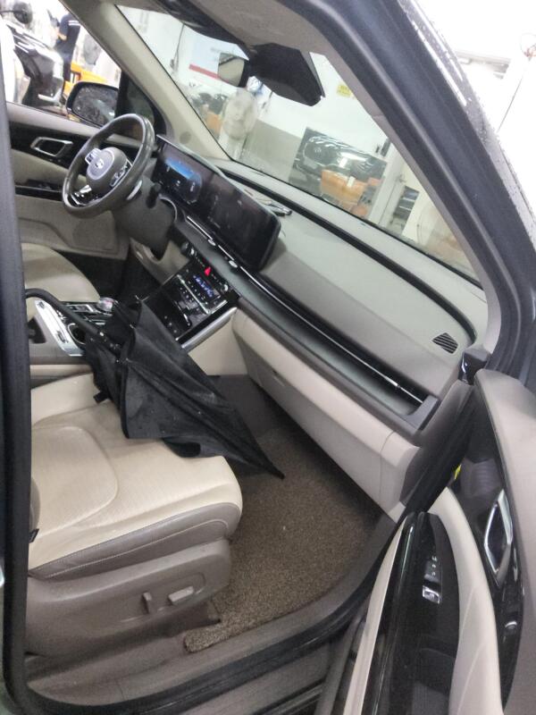 Kia Carnival (2021)