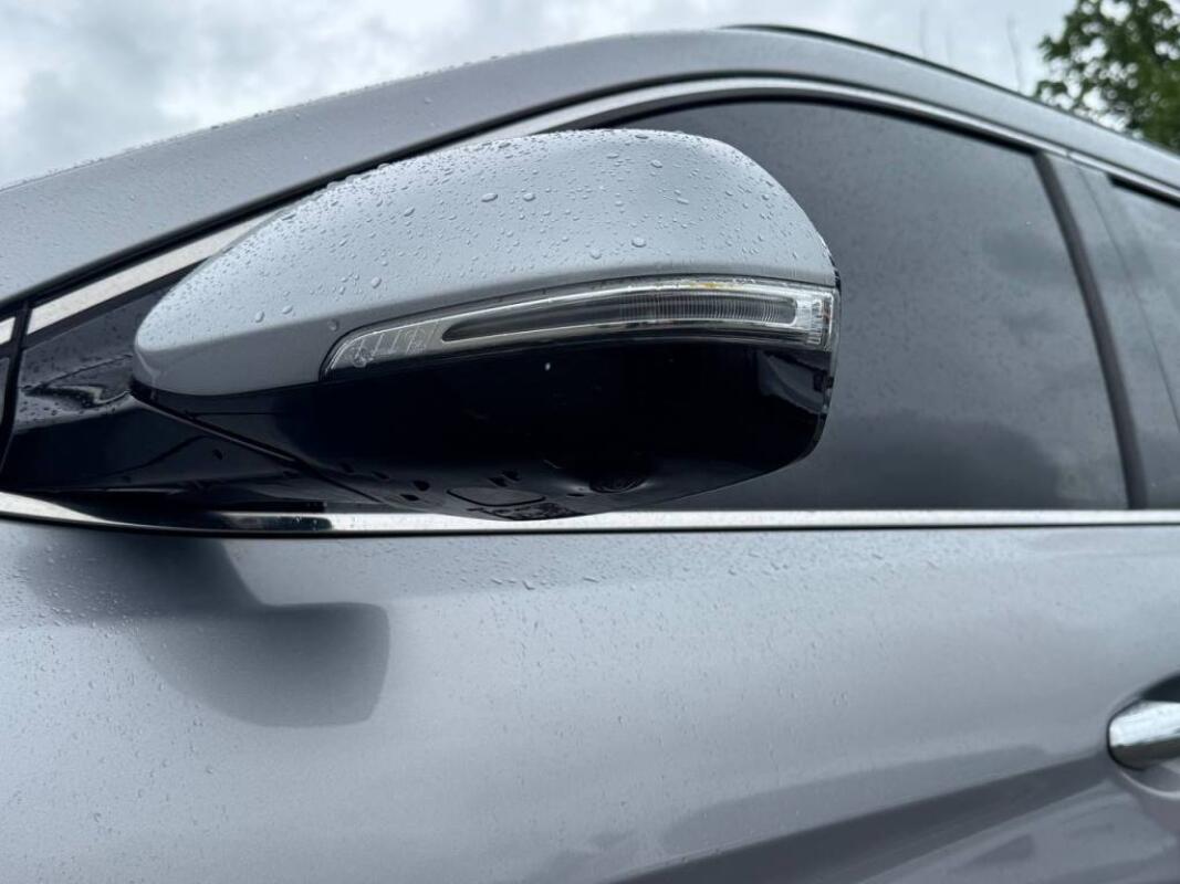 Hyundai Maxcruz (2017)