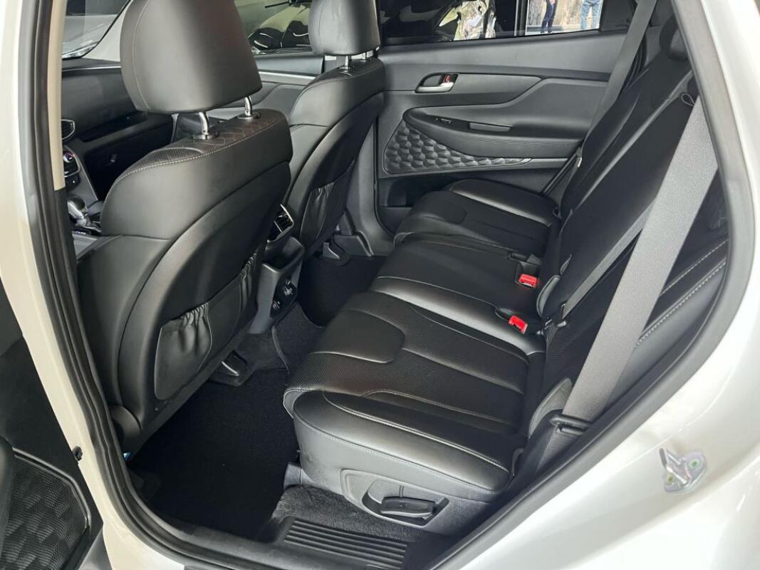 Hyundai SantaFe (2019)