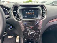Hyundai Maxcruz (2017)