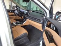 Kia Carnival (2023)