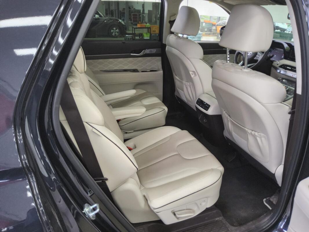 Hyundai Palisade (2022)