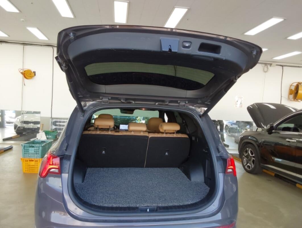 Hyundai SantaFe (2020)