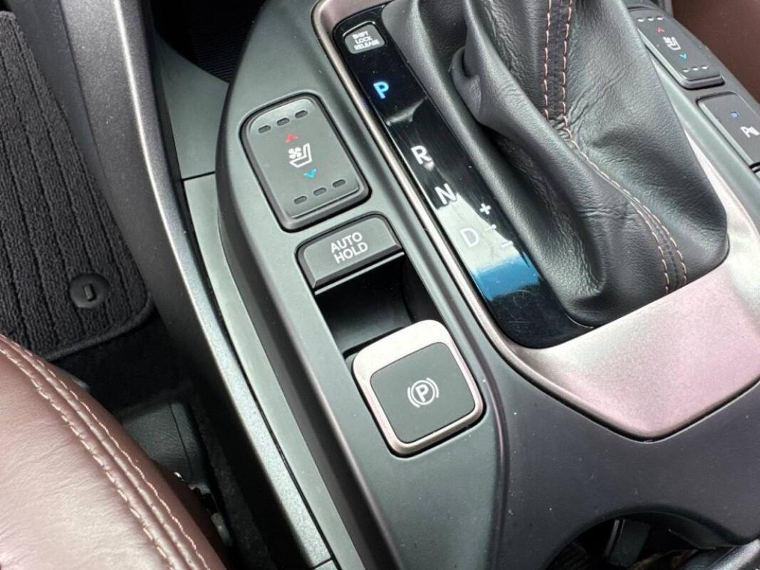 Hyundai Maxcruz (2017)
