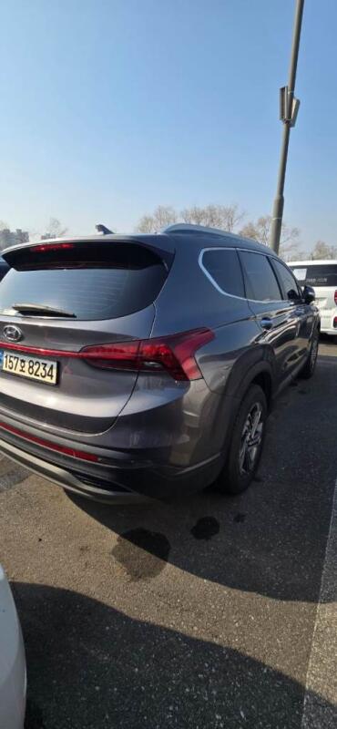 Hyundai SantaFe (2020)
