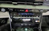 Kia Carnival (2021)