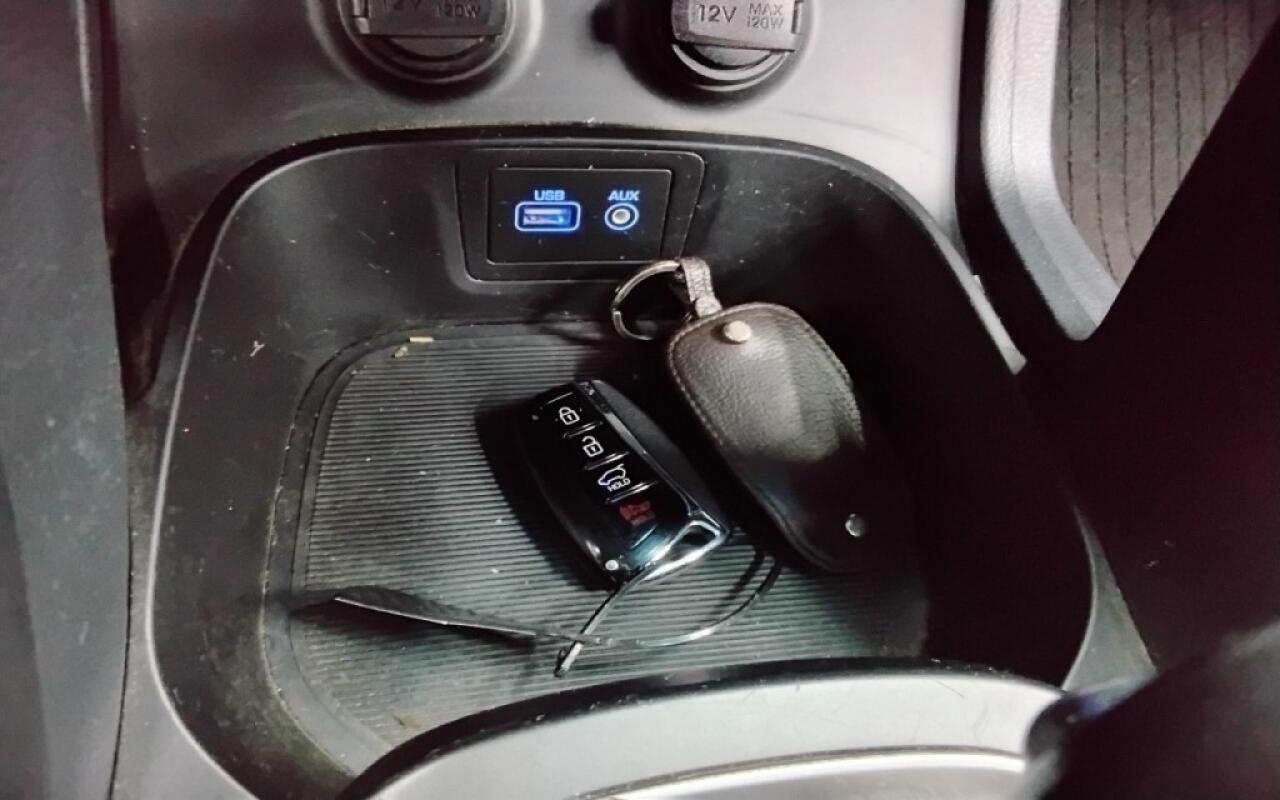 Hyundai Maxcruz (2016)