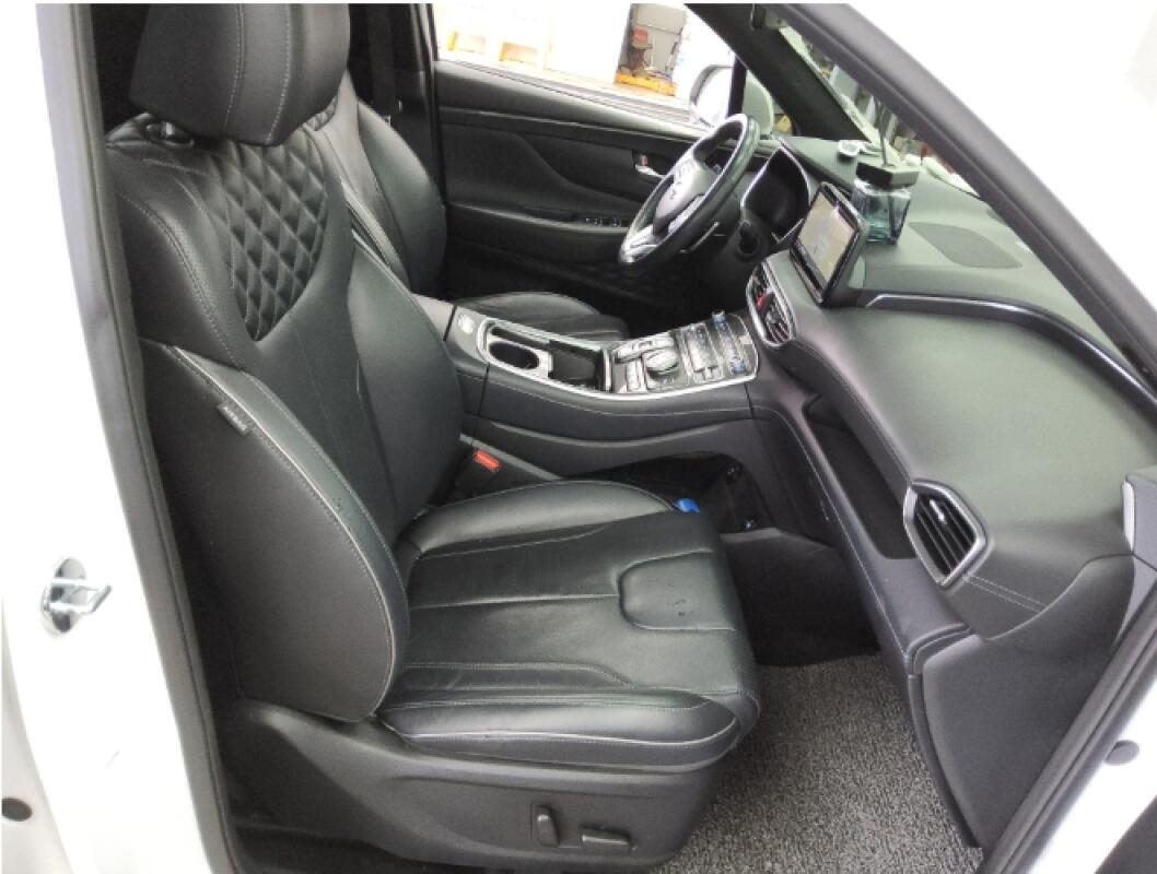 Hyundai SantaFe (2020)