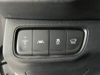 Hyundai SantaFe (2018)