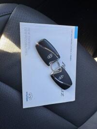 Hyundai Maxcruz (2016)