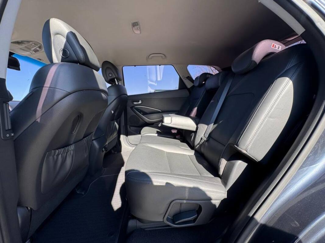 Hyundai Maxcruz (2016)