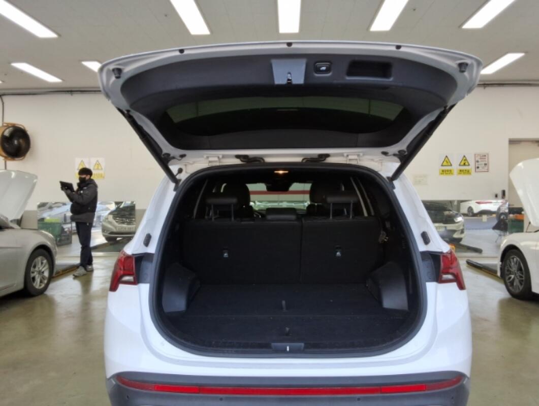 Hyundai SantaFe (2020)