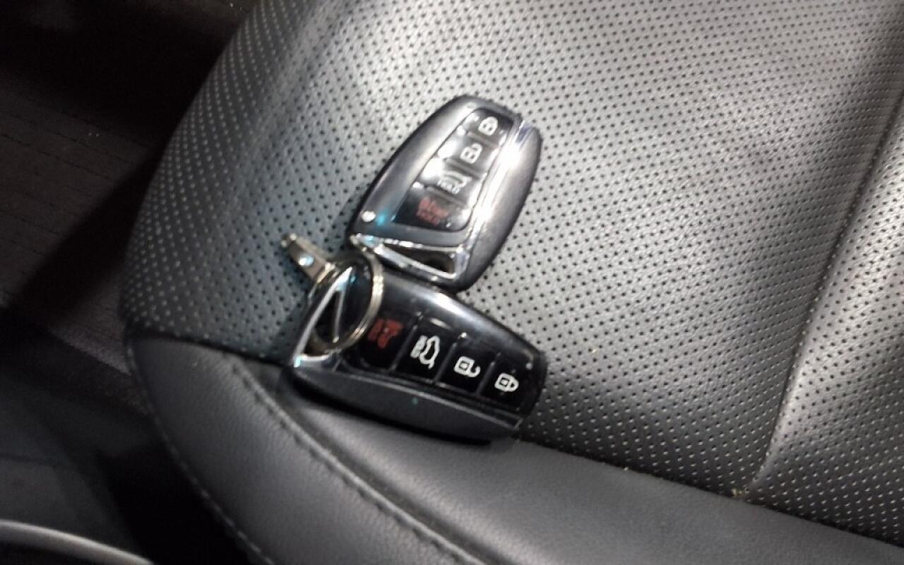 Hyundai Maxcruz (2016)