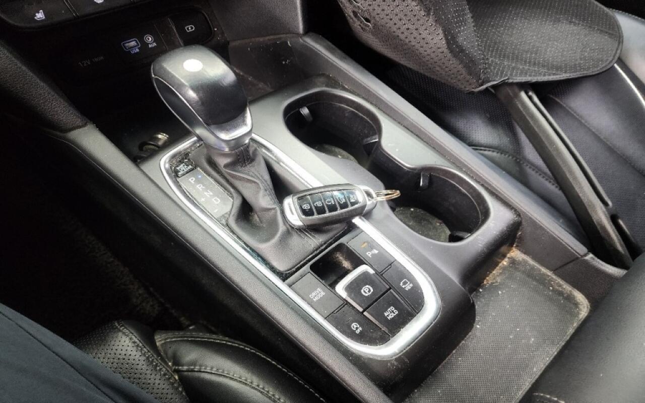 Hyundai SantaFe (2019)