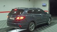Hyundai Maxcruz (2015)