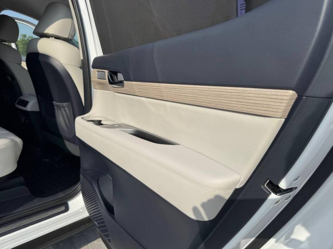Hyundai Palisade (2019)