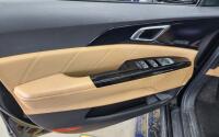 Kia Carnival (2020)