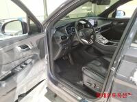 Hyundai SantaFe (2021)