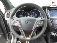 Hyundai Maxcruz (2017)