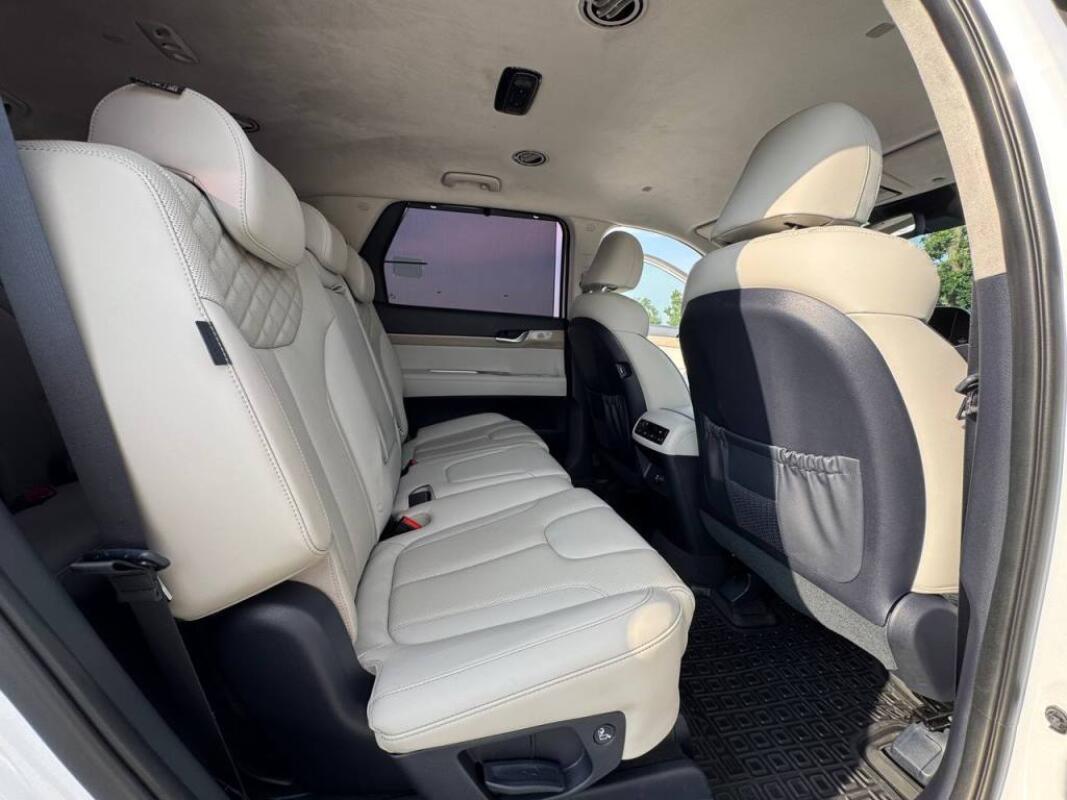 Hyundai Palisade (2019)