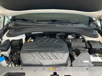 Hyundai SantaFe (2019)