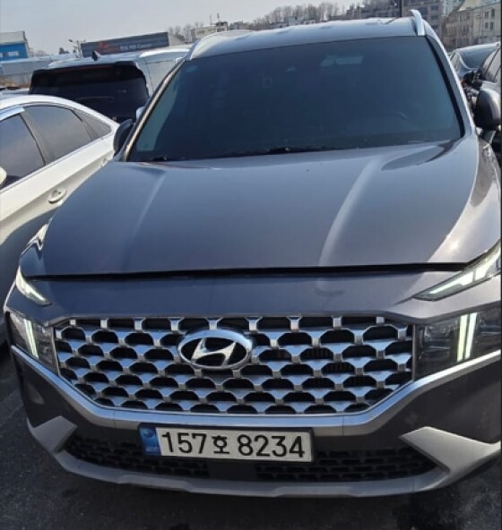 Hyundai SantaFe (2020)