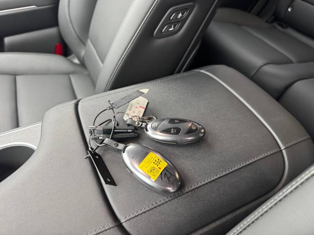 Hyundai Palisade (2025)