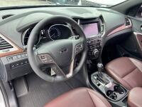 Hyundai Maxcruz (2017)