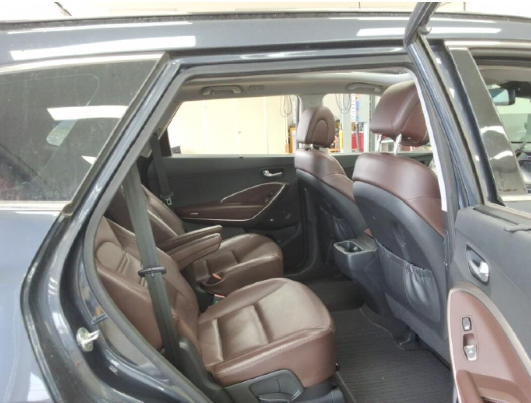 Hyundai Maxcruz (2015)