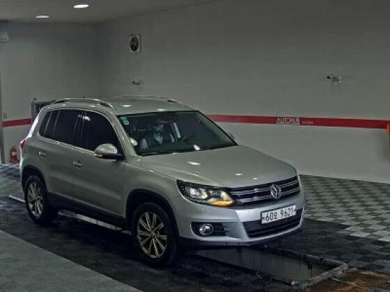 Volkswagen Tiguan (2013)