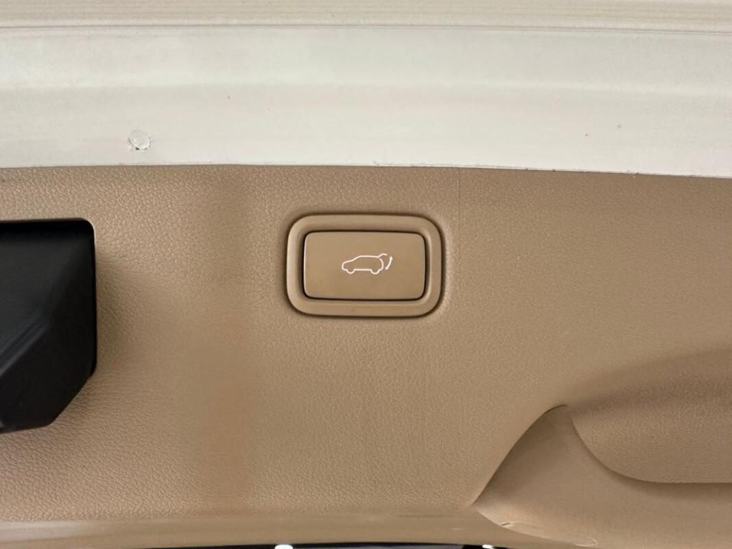 Kia Carnival (2020)