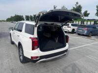 Hyundai Palisade (2019)