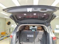 Kia Carnival (2020)