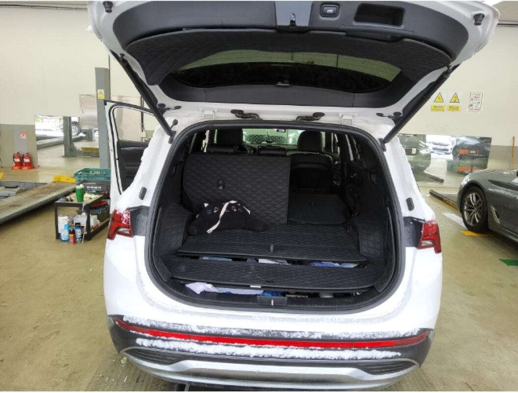 Hyundai SantaFe (2020)