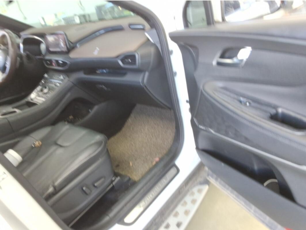 Hyundai SantaFe (2021)