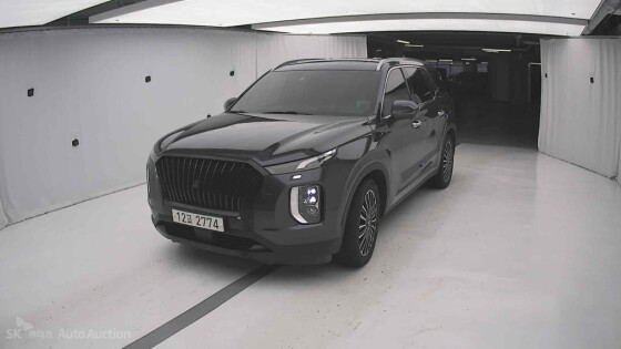 Hyundai Palisade (2019)