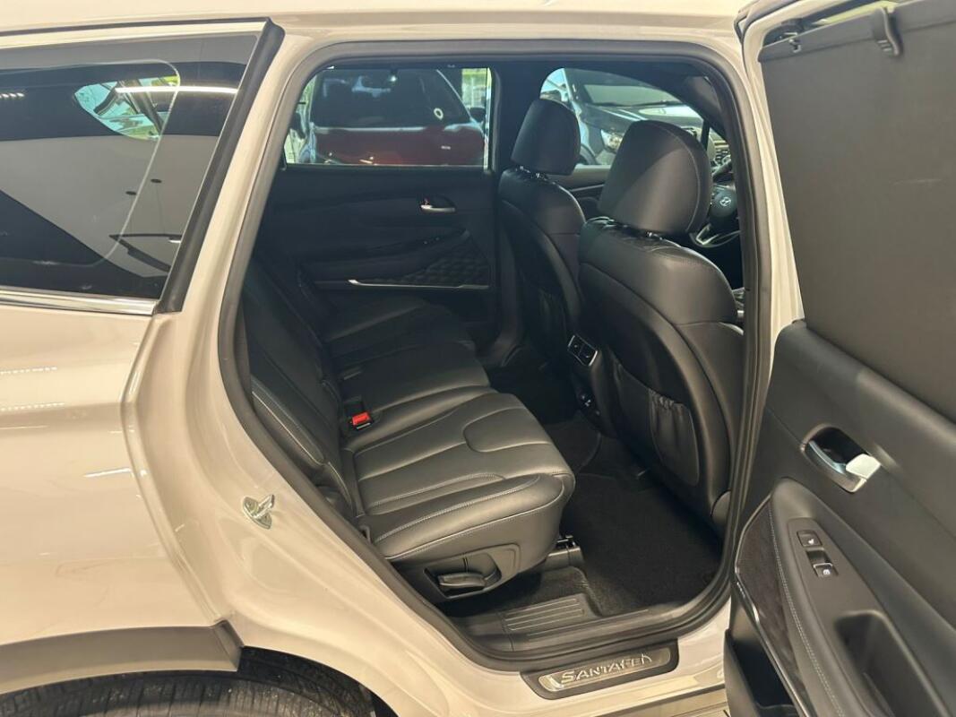 Hyundai SantaFe (2020)