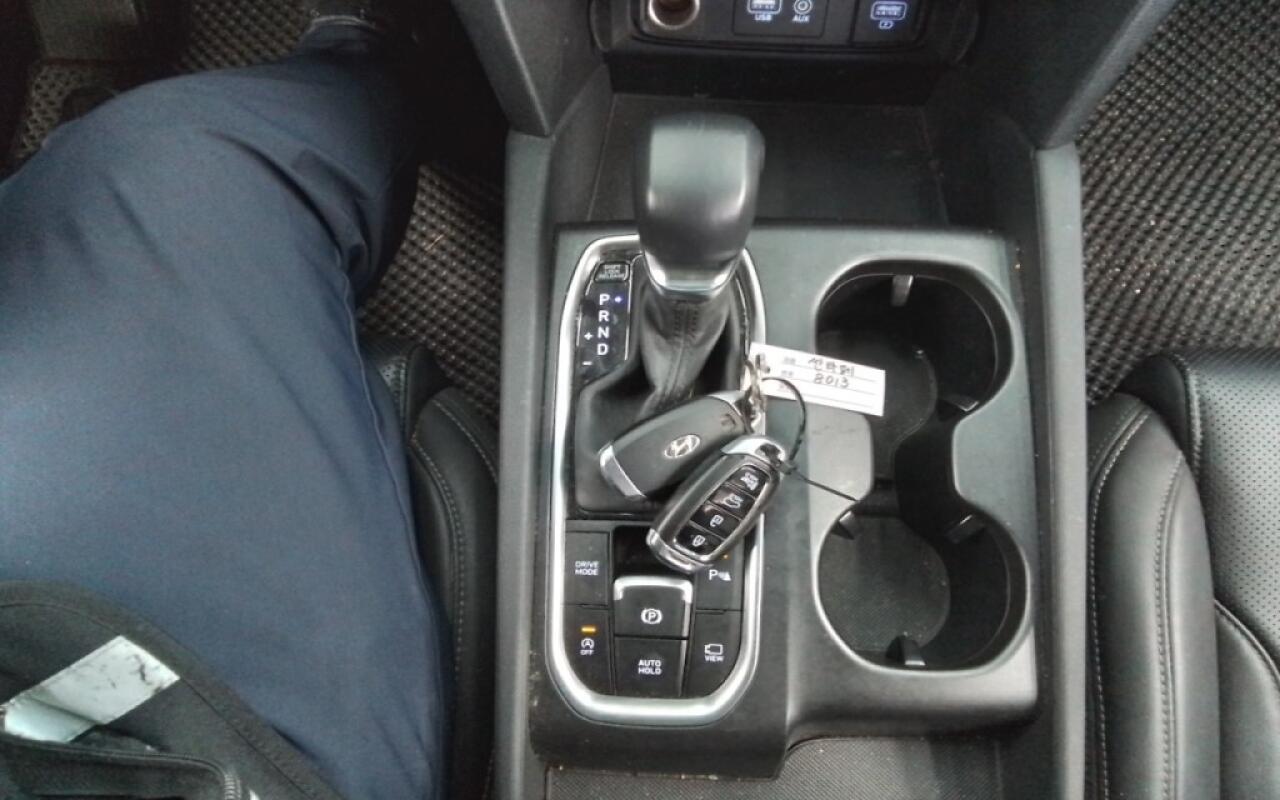 Hyundai SantaFe (2019)