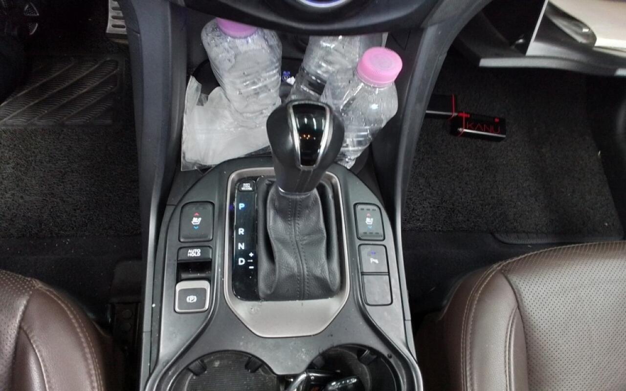 Hyundai SantaFe (2017)