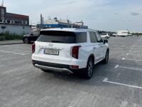Hyundai Palisade (2019)