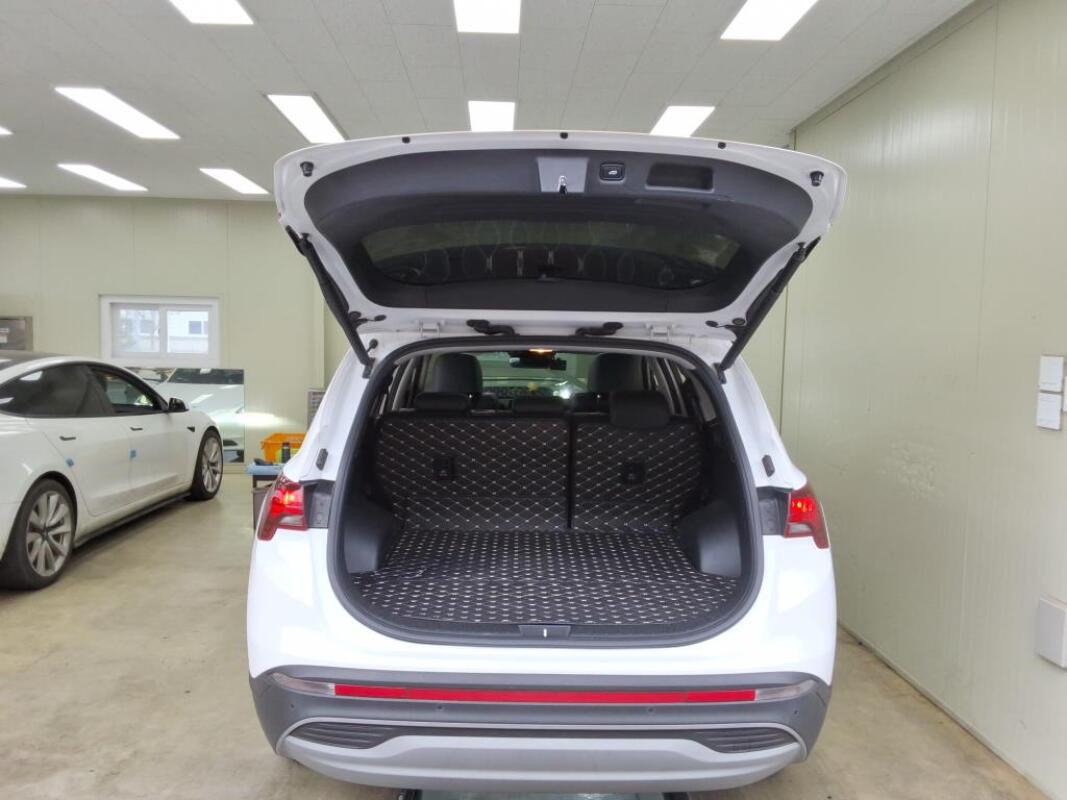 Hyundai SantaFe (2021)