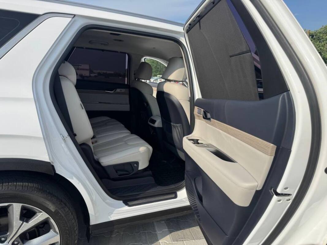 Hyundai Palisade (2019)